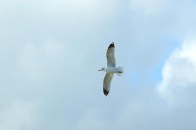 DSC_1138.jpg