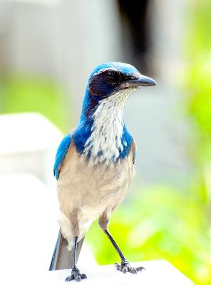 DSC_2344.jpg