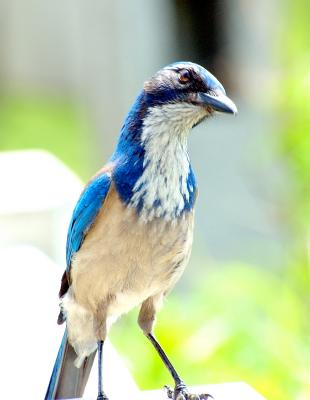 DSC_2345.jpg