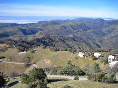 View from top of Mt Ham