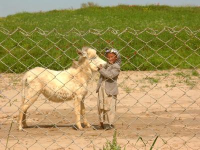 LAST PHOTOS TAKEN IN SHIBERGHAN AND THE CAMP, NOW OFF TO KABUL 16 April, 2005