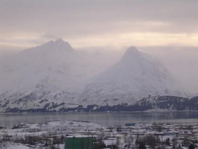 DSCN4724 pbase.jpg