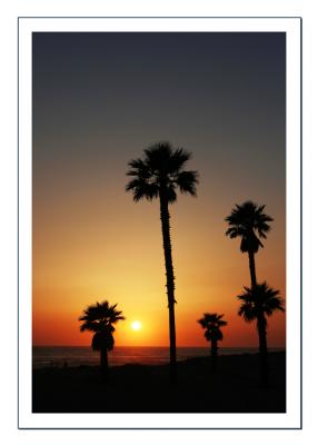 The Setting Sun, among the Palms of California