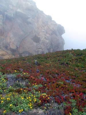 The day started off very foggy