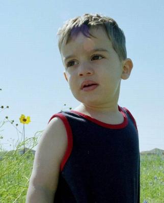Ty in a Field