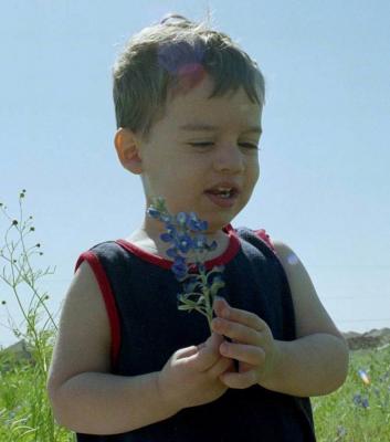 Ty with Blue Bonnets