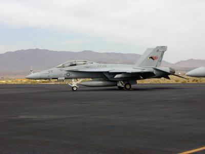 The F-18 SuperHornet.  The SuperHornet can be distinguished from the Hornet by its angular square intake.
