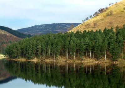 RESERVOIR REFLECTIONS