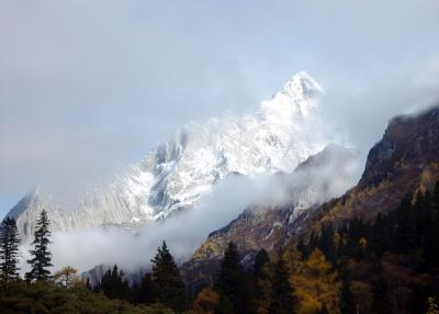 Snowy Mount in Sichuan 10
