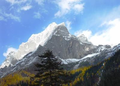 Snowy Mount in Sichuan 13