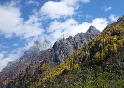 Siguniang Mountain 28