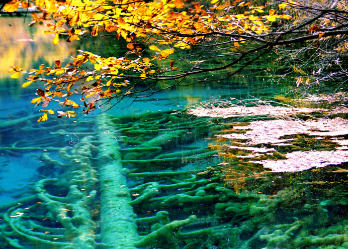 Jiuzhaigou10