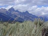 Grand Teton and grass Grand Teton National Park, Wyoming 2002