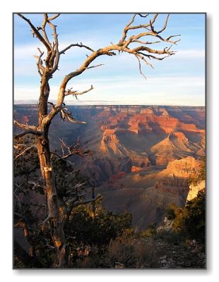 Grand Canyon SunsetArizona