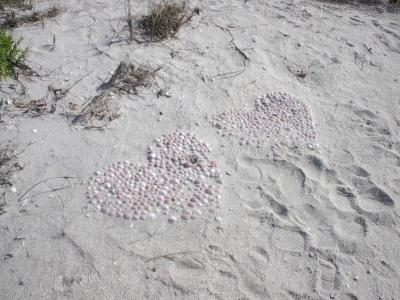 Love letters in the sand at Captiva