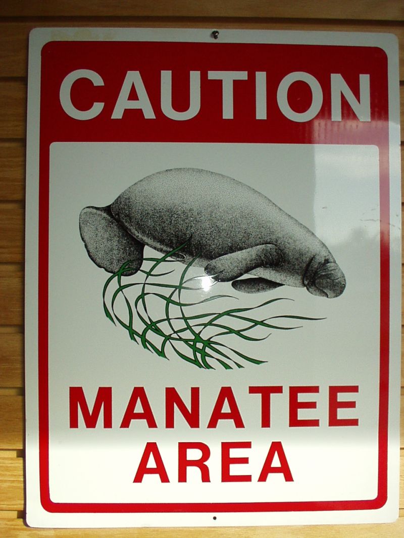 Watch out for manatees.