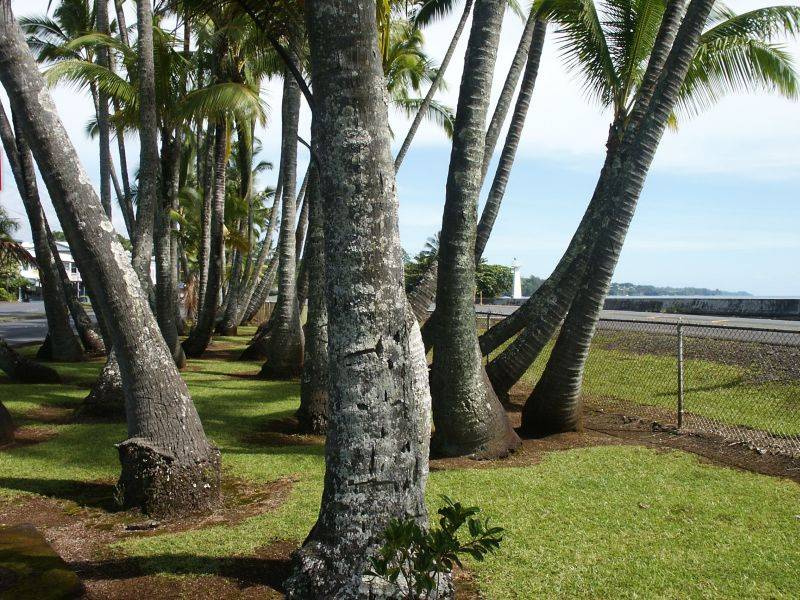 Coconut Point Lighthouse, Hilo
