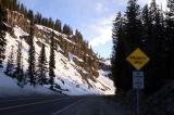 Avalanche zone, Colorado