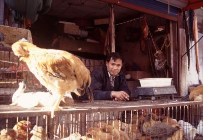 Poulterer, Dongjiadu, Shanghai 2004