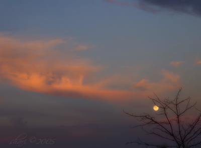 pink clouds with moon