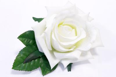 White Rose and Leaves.jpg