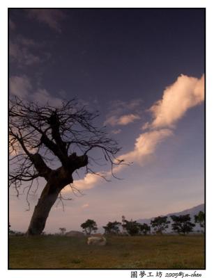 CRW_0377.jpg