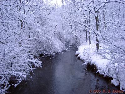 Wintery Stream