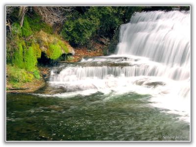 Belfountain waterfalls