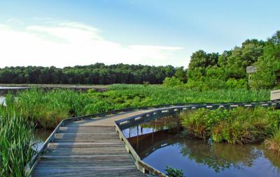 wetlands_trail_3.jpg