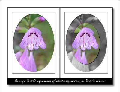 Example 2 using Selections.jpg