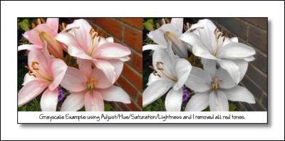 Example using Hue_Saturation_Lightness.jpg