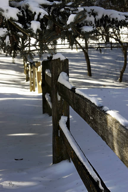 Jan. 23, 2005 - Fence line