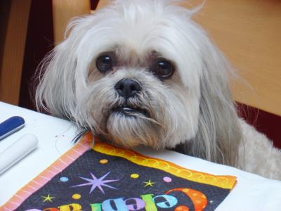Coco
