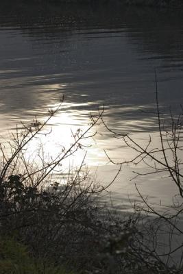 CRW_6283.jpg