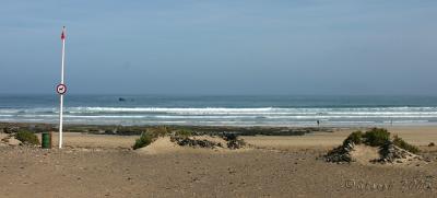 nodogbeach-1.jpg