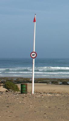 nodogbeach-2.jpg