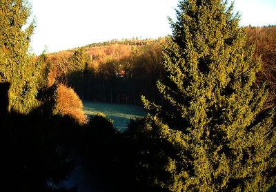 winter_morning_sun.jpg