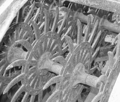 More teeth.JPG