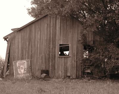 Shed.jpg