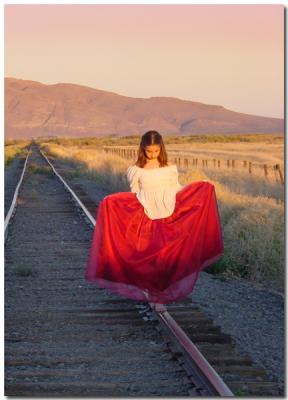 Western Beauty by Sarah D