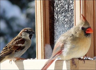 Dining with Friends<br><font size=1>by Bev Brink</font>