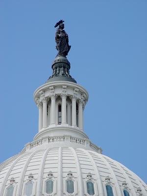 Statue of Freedomby Capital Man