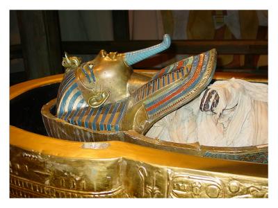 Gold Mummy Case by florg