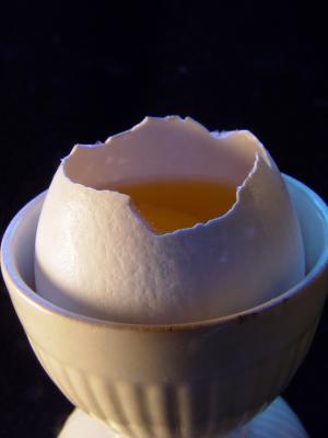 Eggsposedby A.M.