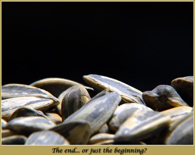 The end... or just the beginning?by Carlos Chacon