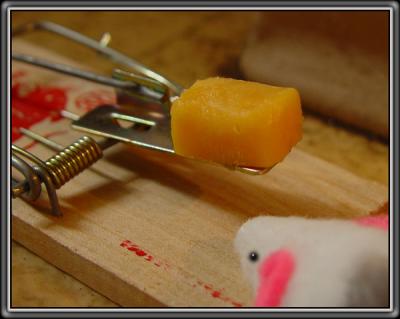 The Power of Cheeseby  Kudbegud