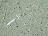 We came to a fork in the road! By BlackForce