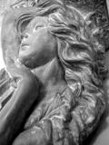 <b>Serenity</b><br><font size=1>by Carter