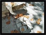 <b>Puzzle</b><br><font size=1>by Bev Brink</font>