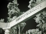 <b>Ninth Place</b></br><b>Overcome by Too Much Responsibility</b></br><font size=1>by Nee</font>